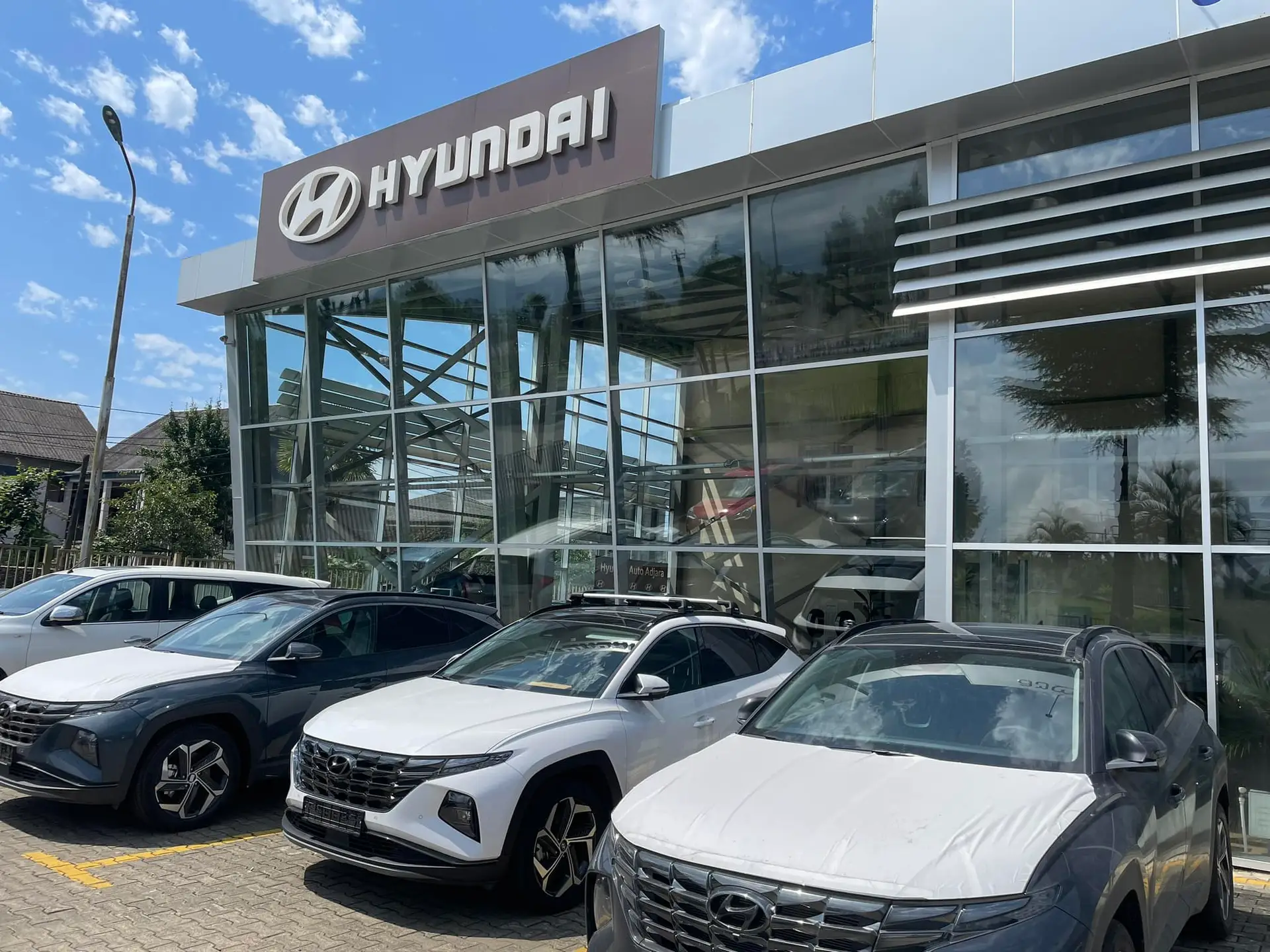 476273481 638618498686354 6684146347370234523 N